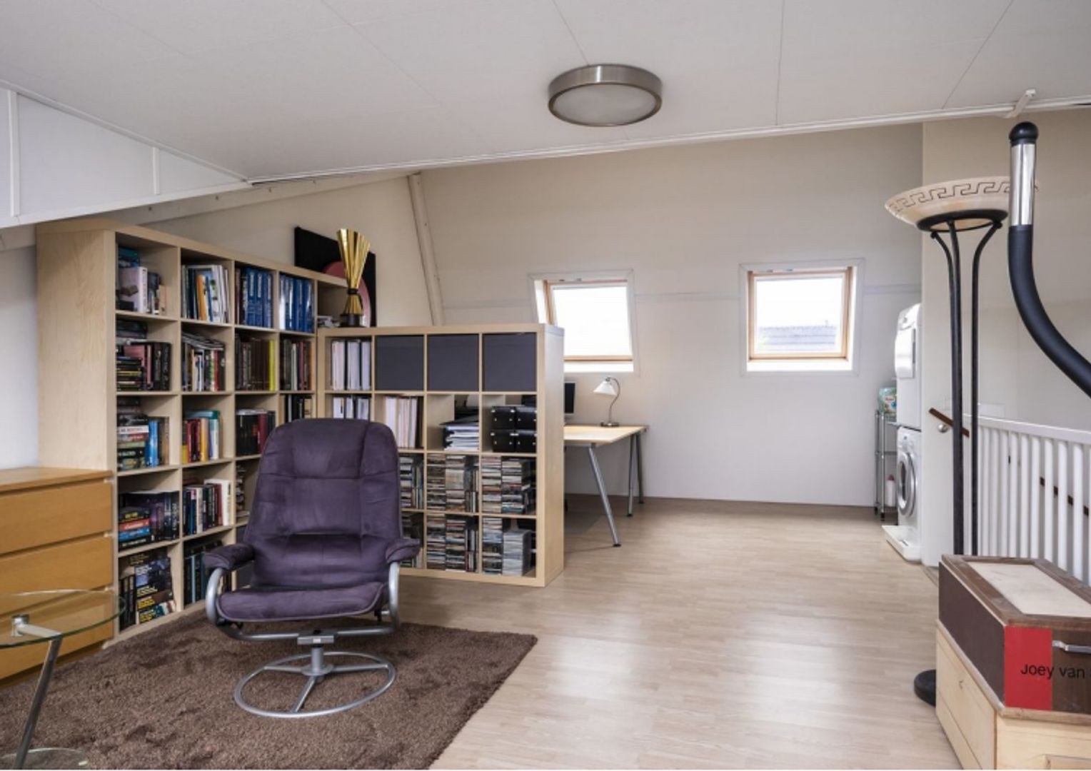 Grasplant, Eindhoven foto-17 blur