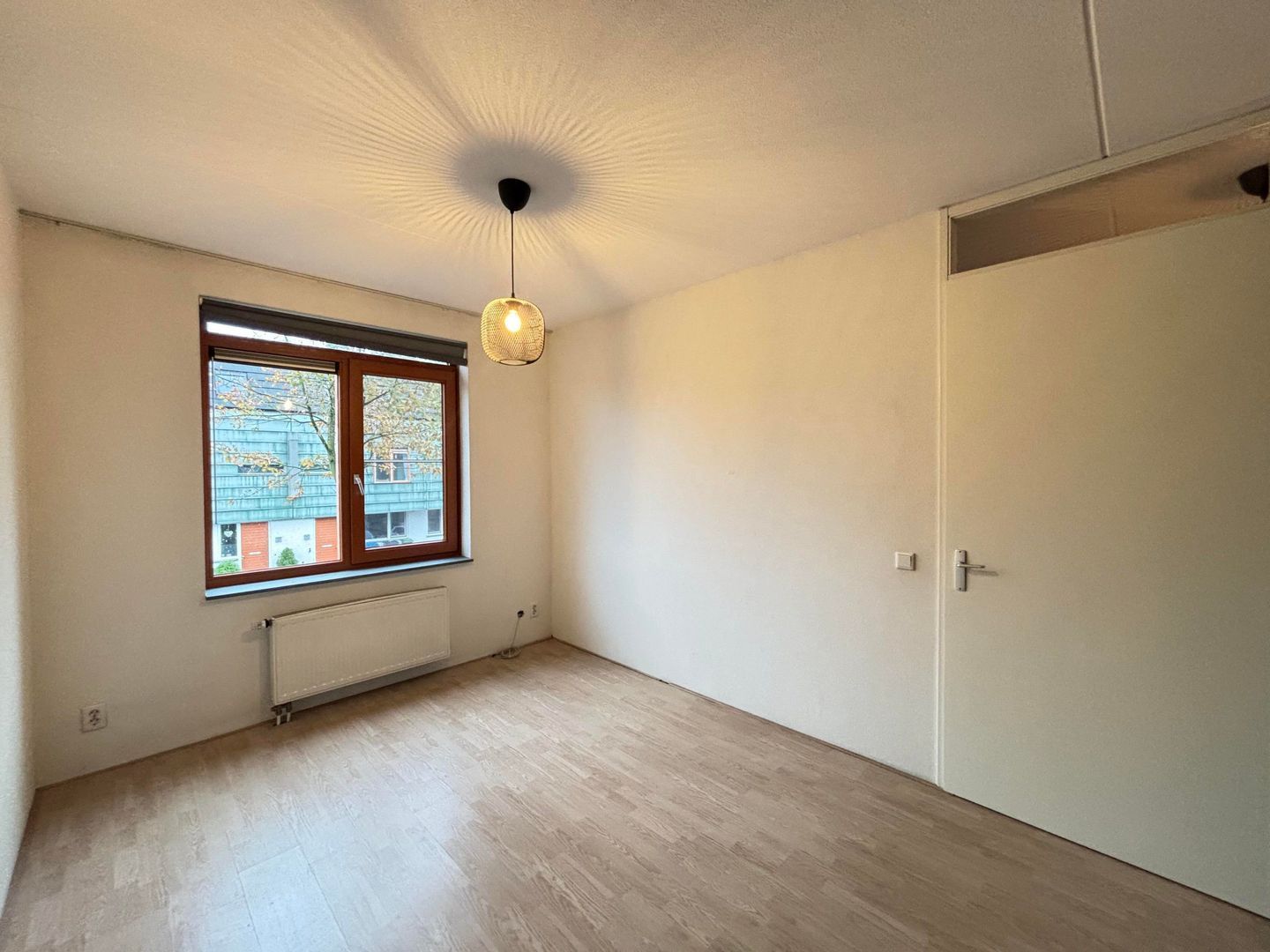 Grasplant, Eindhoven foto-13 blur