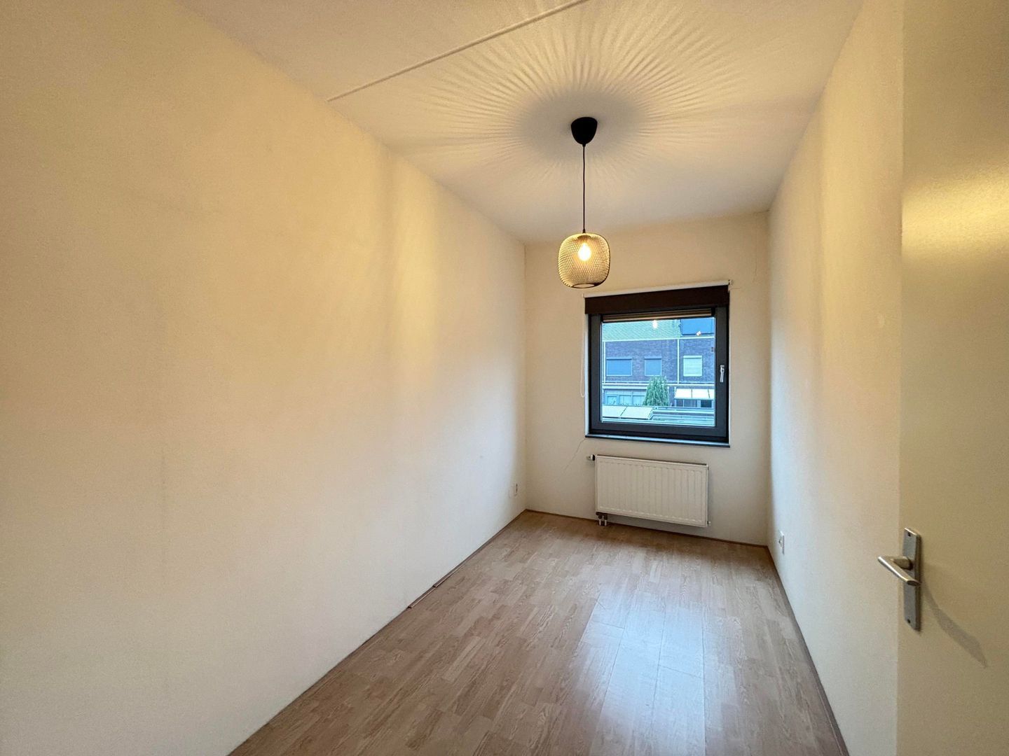 Grasplant, Eindhoven foto-15 blur