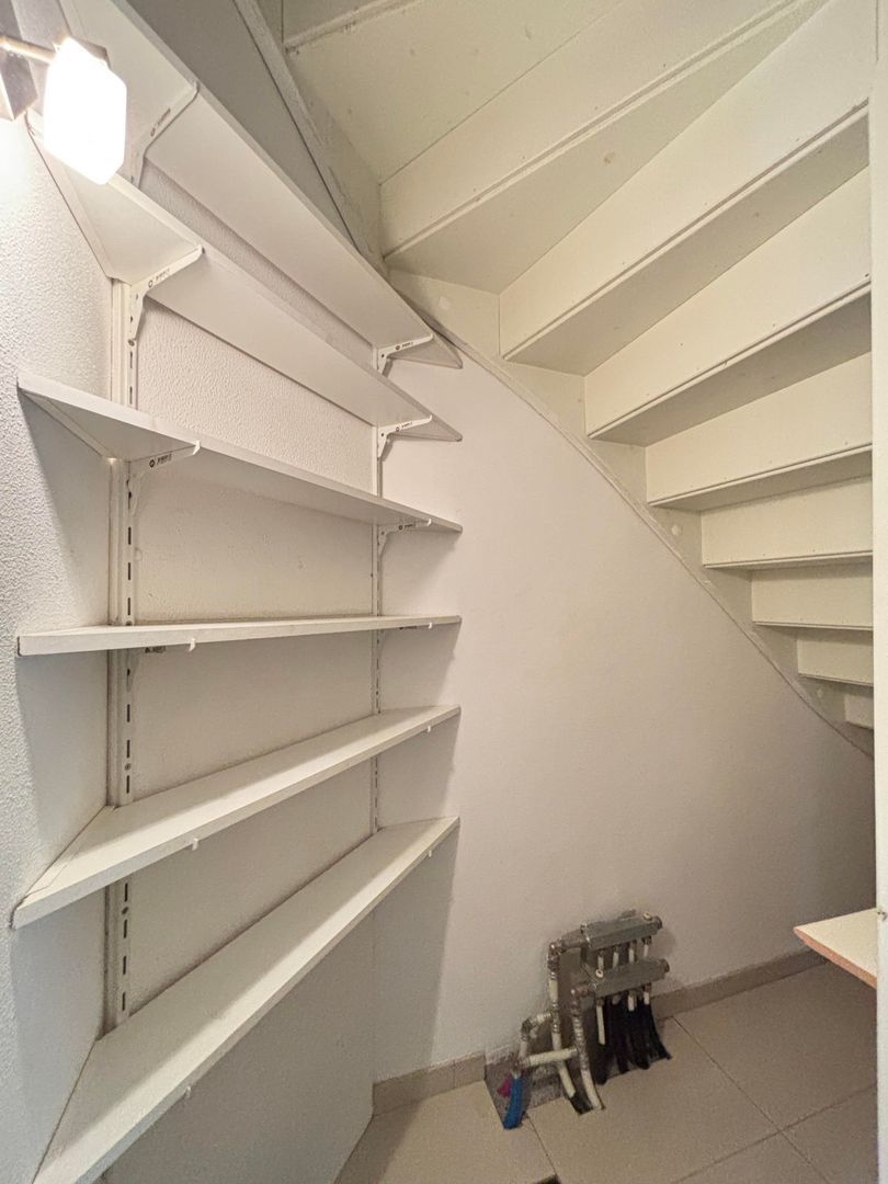 Grasplant, Eindhoven foto-3 blur