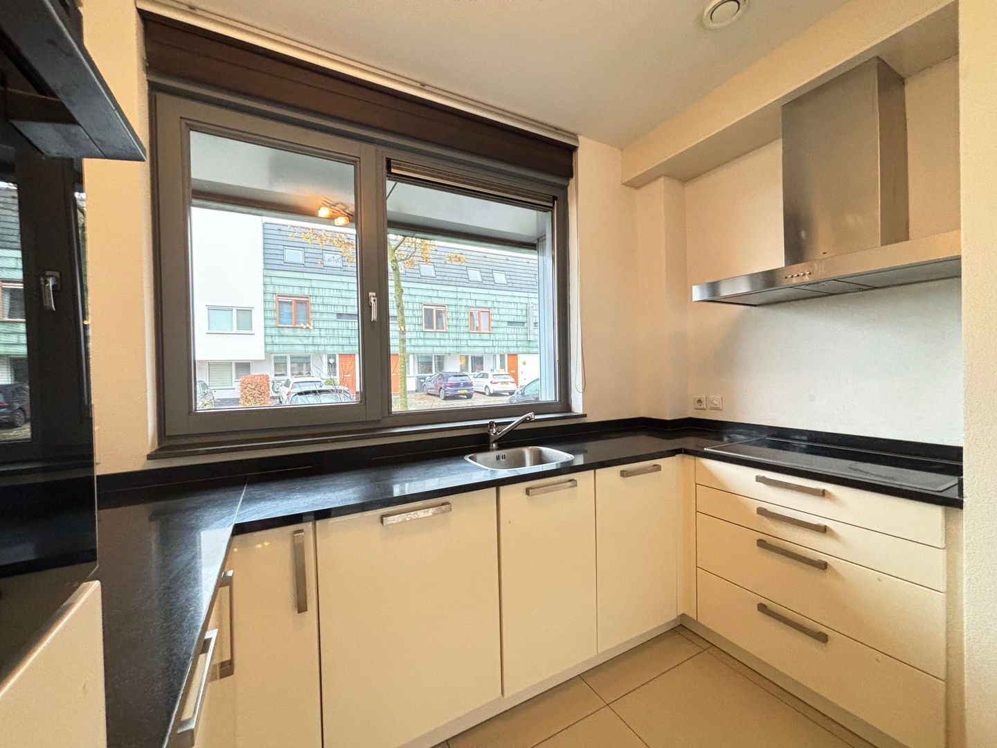 Grasplant, Eindhoven foto-5 blur