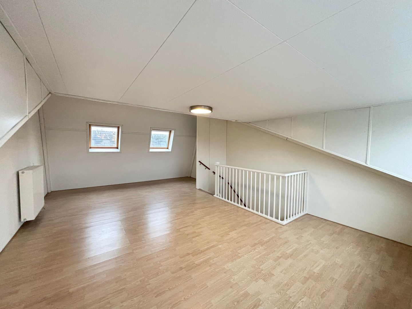 Grasplant, Eindhoven foto-17 blur