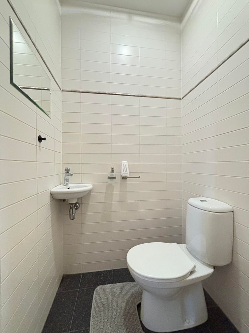 Grasplant, Eindhoven foto-2 blur