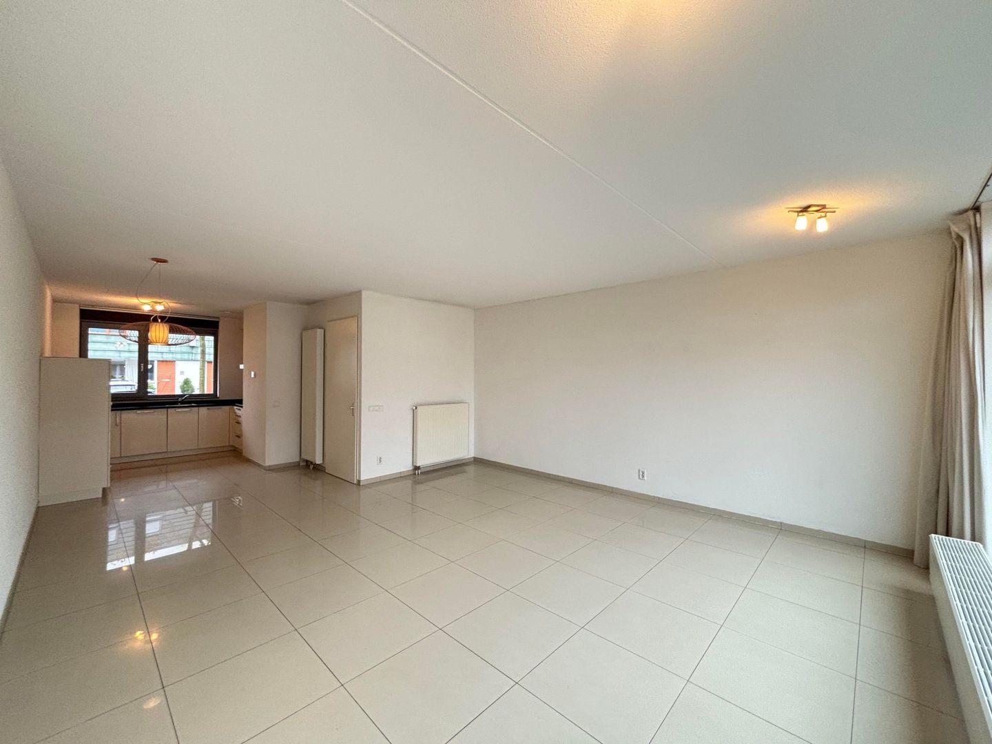 Grasplant, Eindhoven foto-6 blur