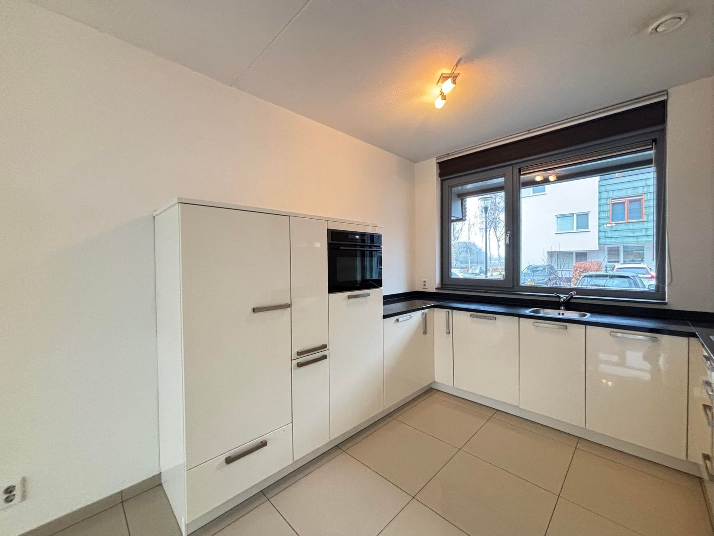 Grasplant, Eindhoven foto-4 blur