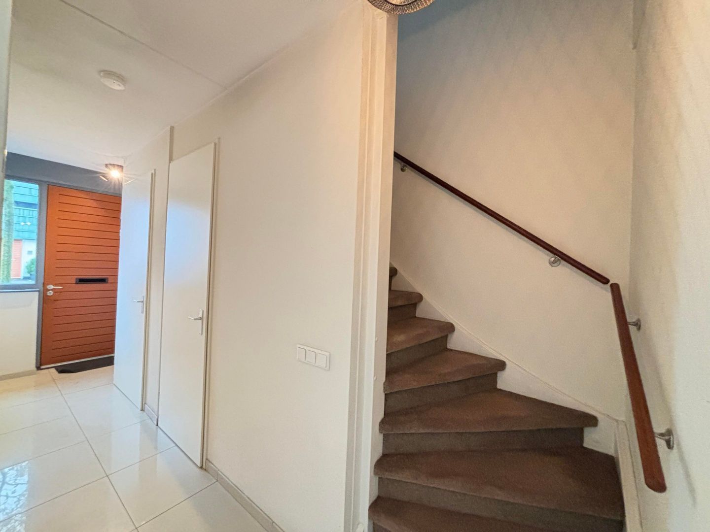 Grasplant, Eindhoven foto-10 blur