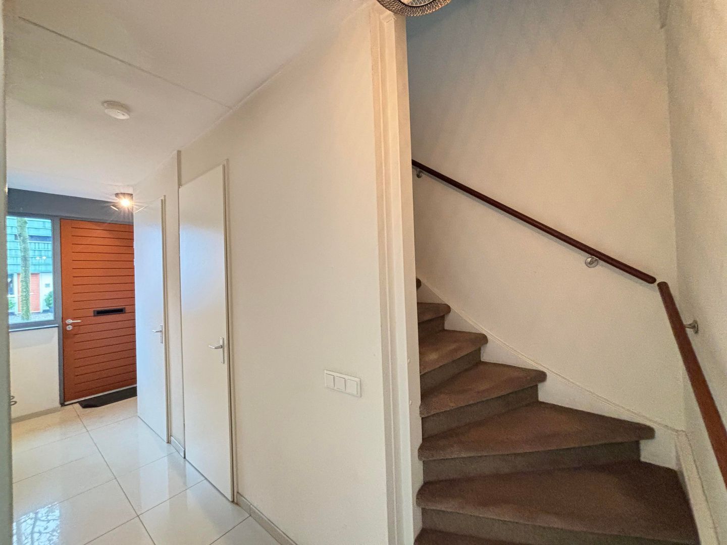 Grasplant, Eindhoven foto-1 blur