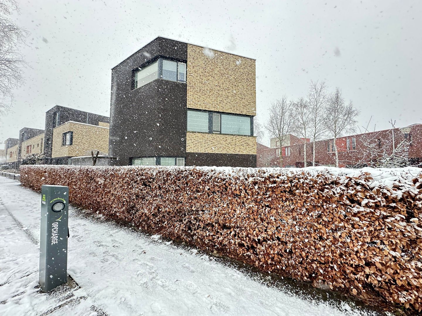 Grastapijt, Eindhoven foto-27 blur