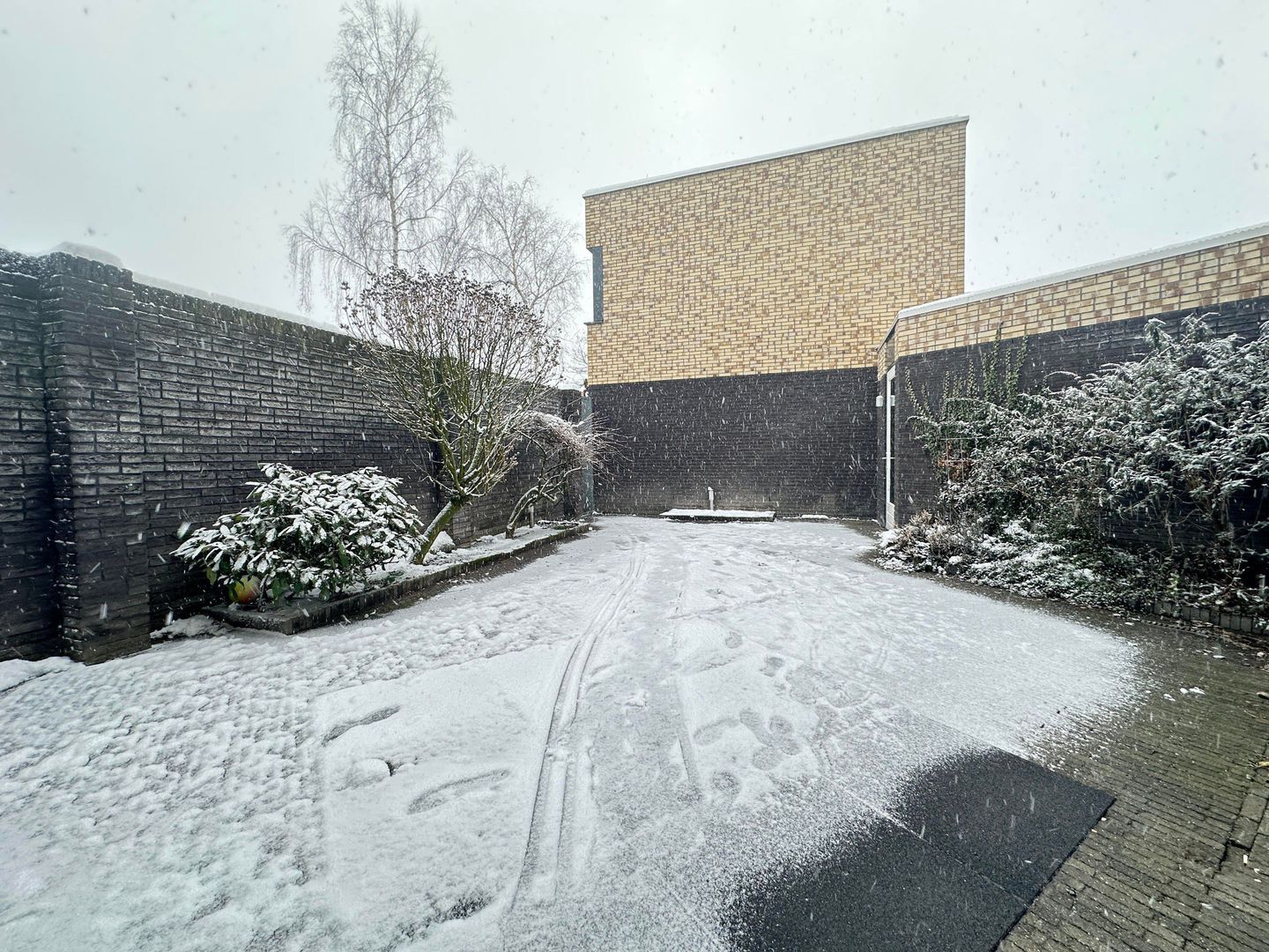 Grastapijt, Eindhoven foto-26 blur