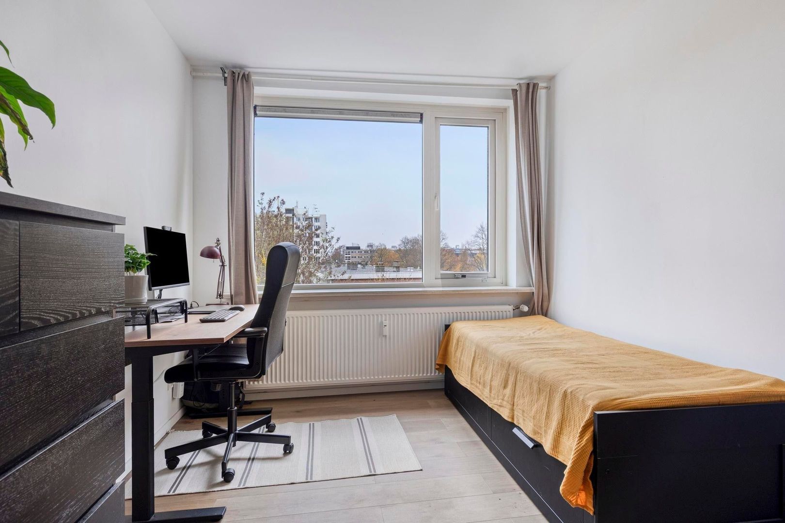 Pisanostraat, Eindhoven foto-17 blur