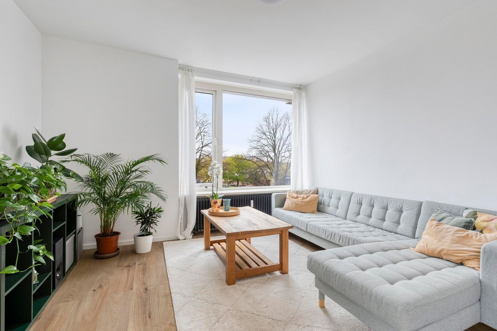 Pisanostraat, Eindhoven foto-1 blur