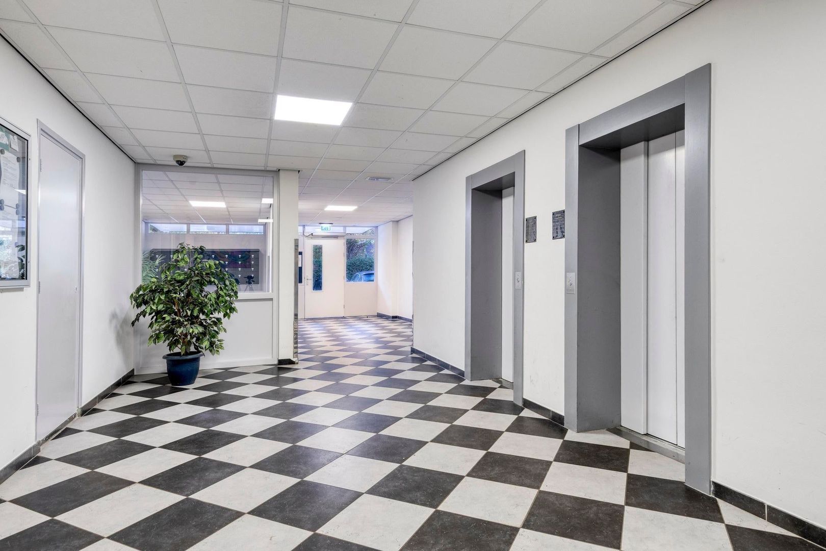 Pisanostraat, Eindhoven foto-3 blur