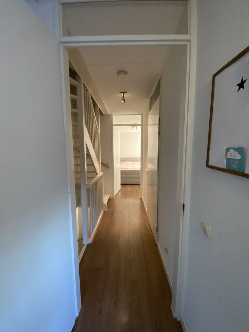 Vlinder, Veldhoven foto-13 blur