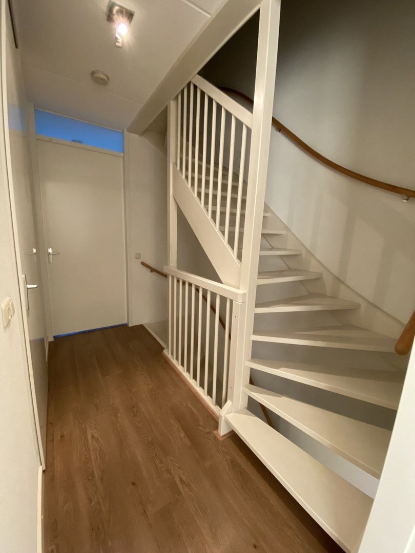 Vlinder, Veldhoven foto-17 blur