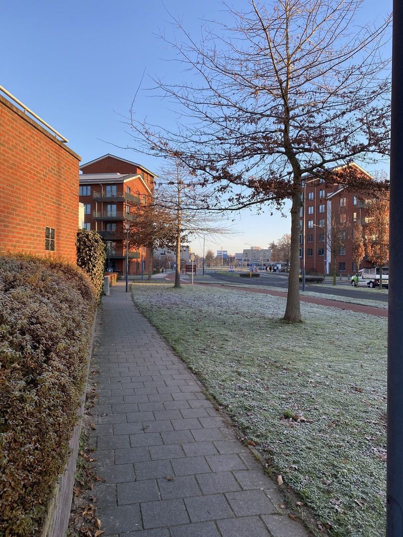 Vlinder, Veldhoven foto-21 blur