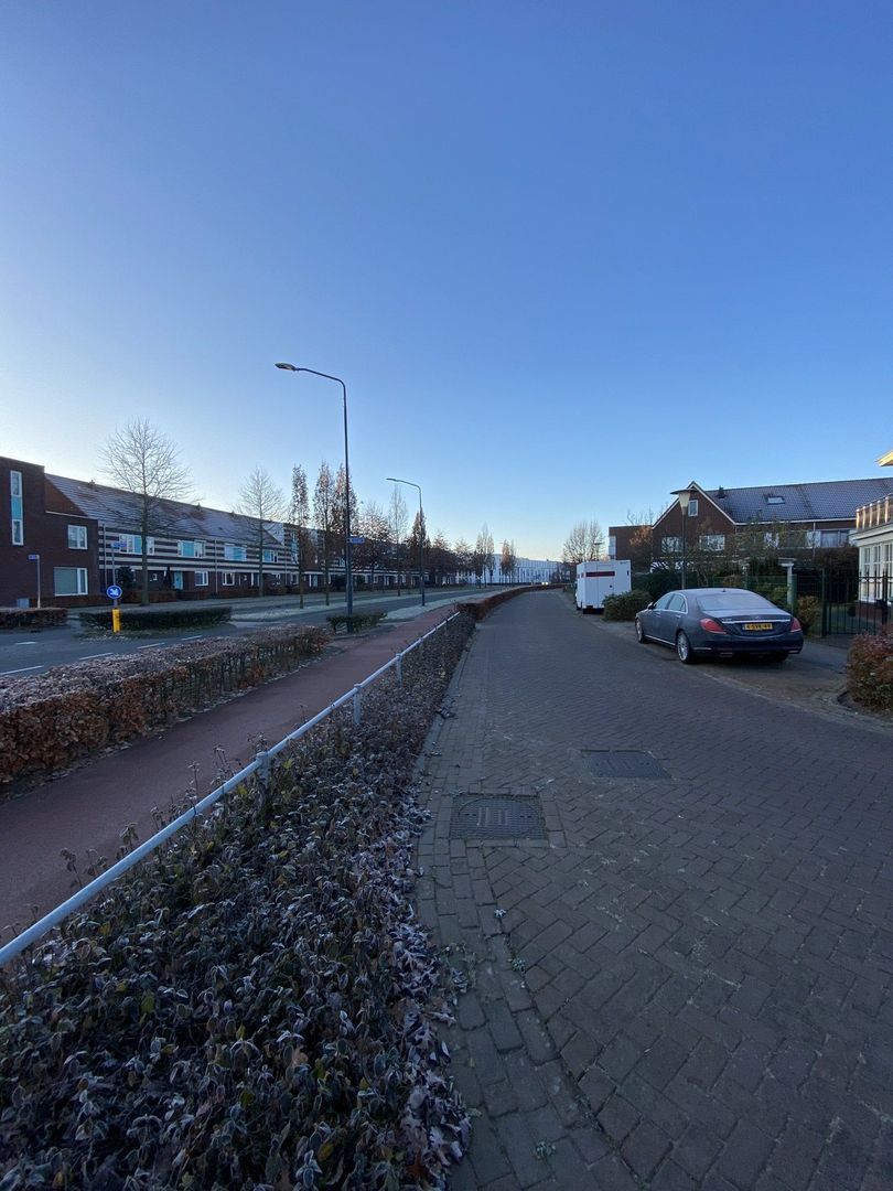 Vlinder, Veldhoven foto-22 blur