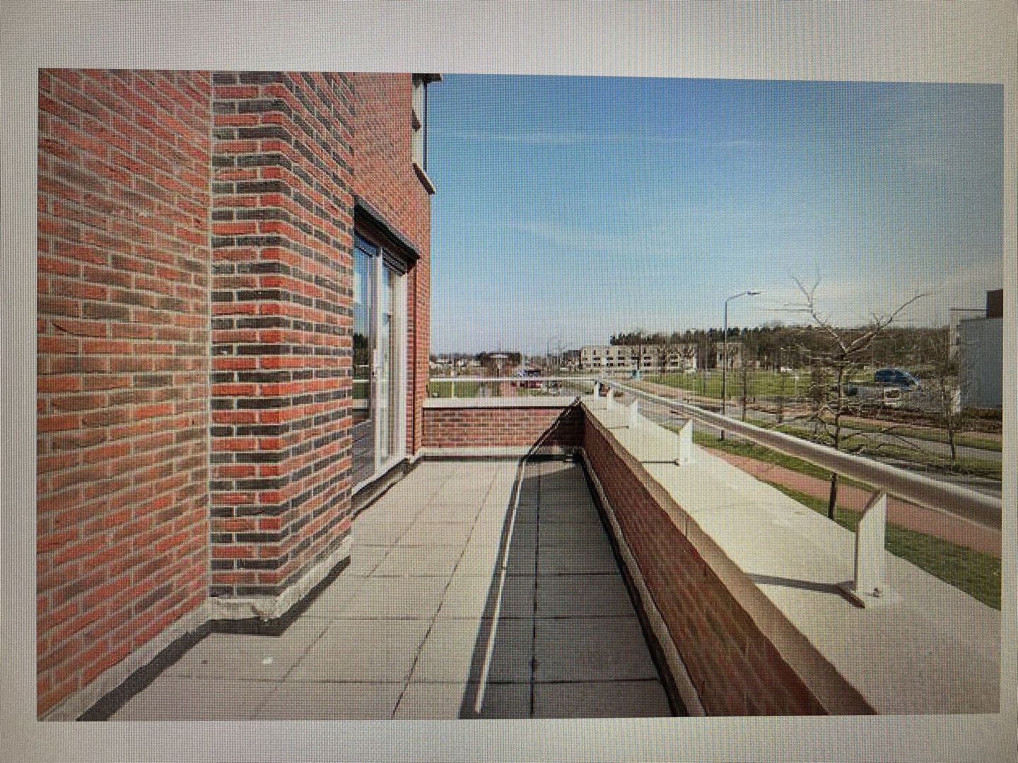 Vlinder, Veldhoven foto-24 blur