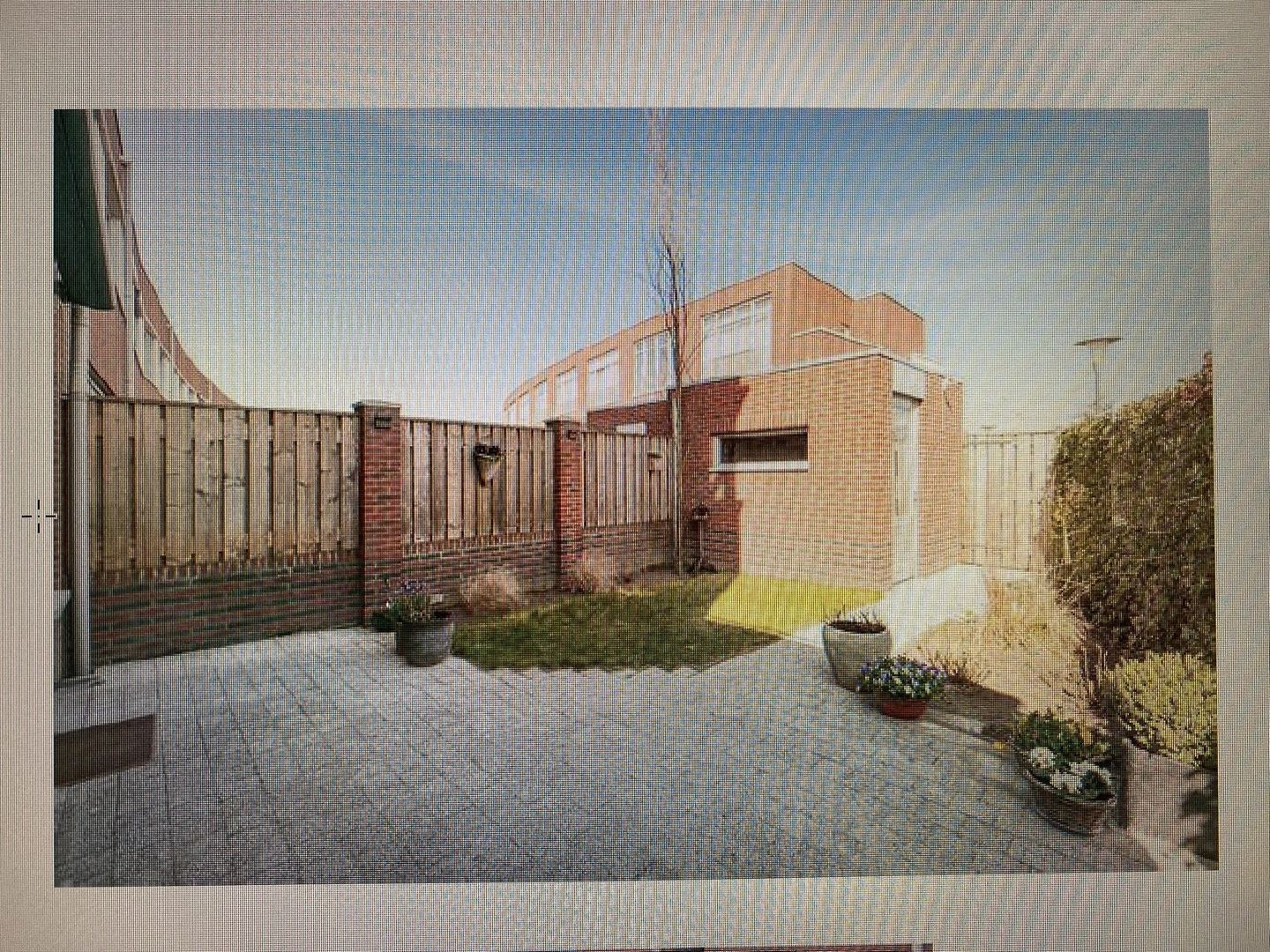 Vlinder, Veldhoven foto-25 blur