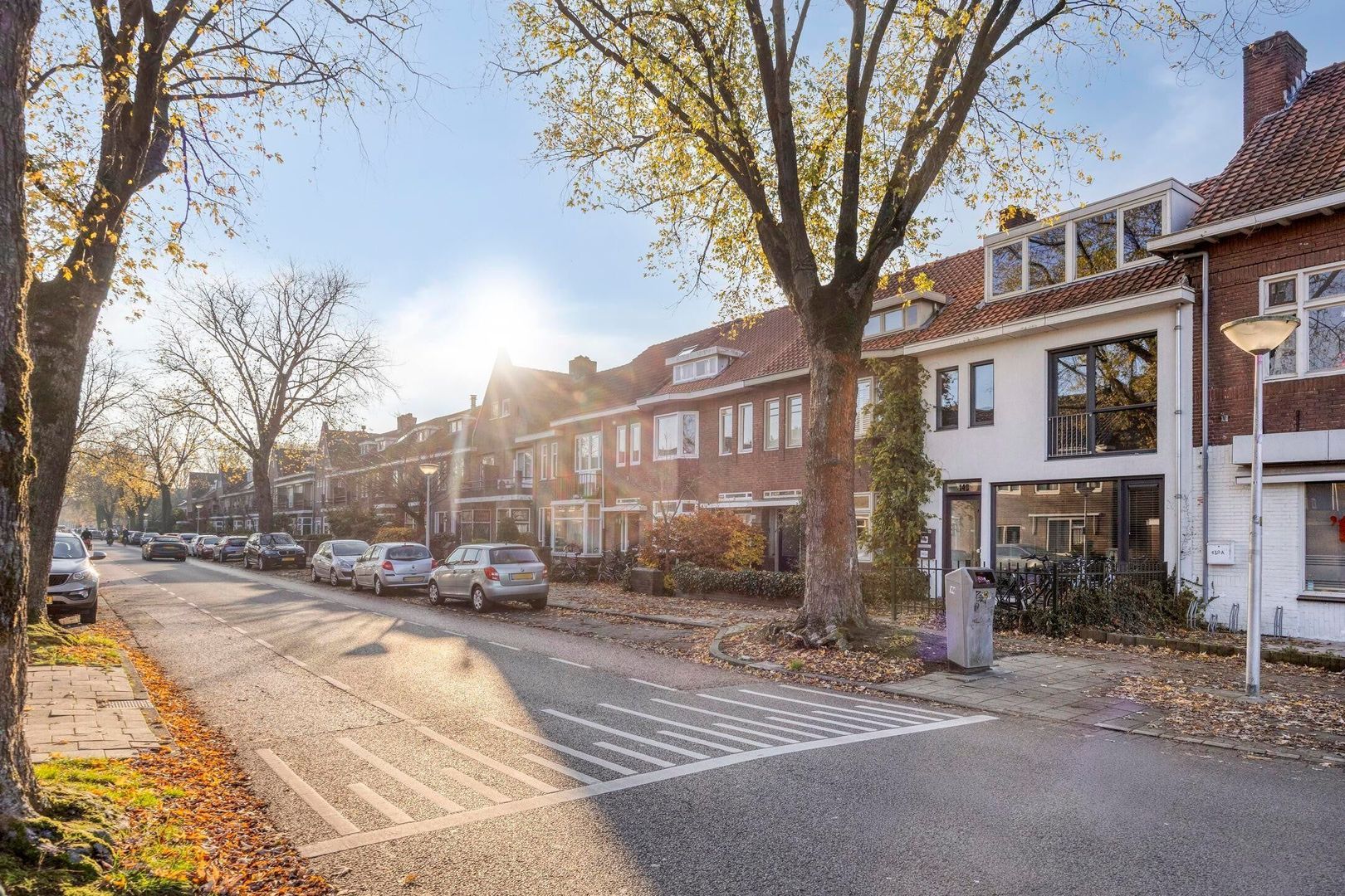 Roostenlaan, Eindhoven foto-26 blur