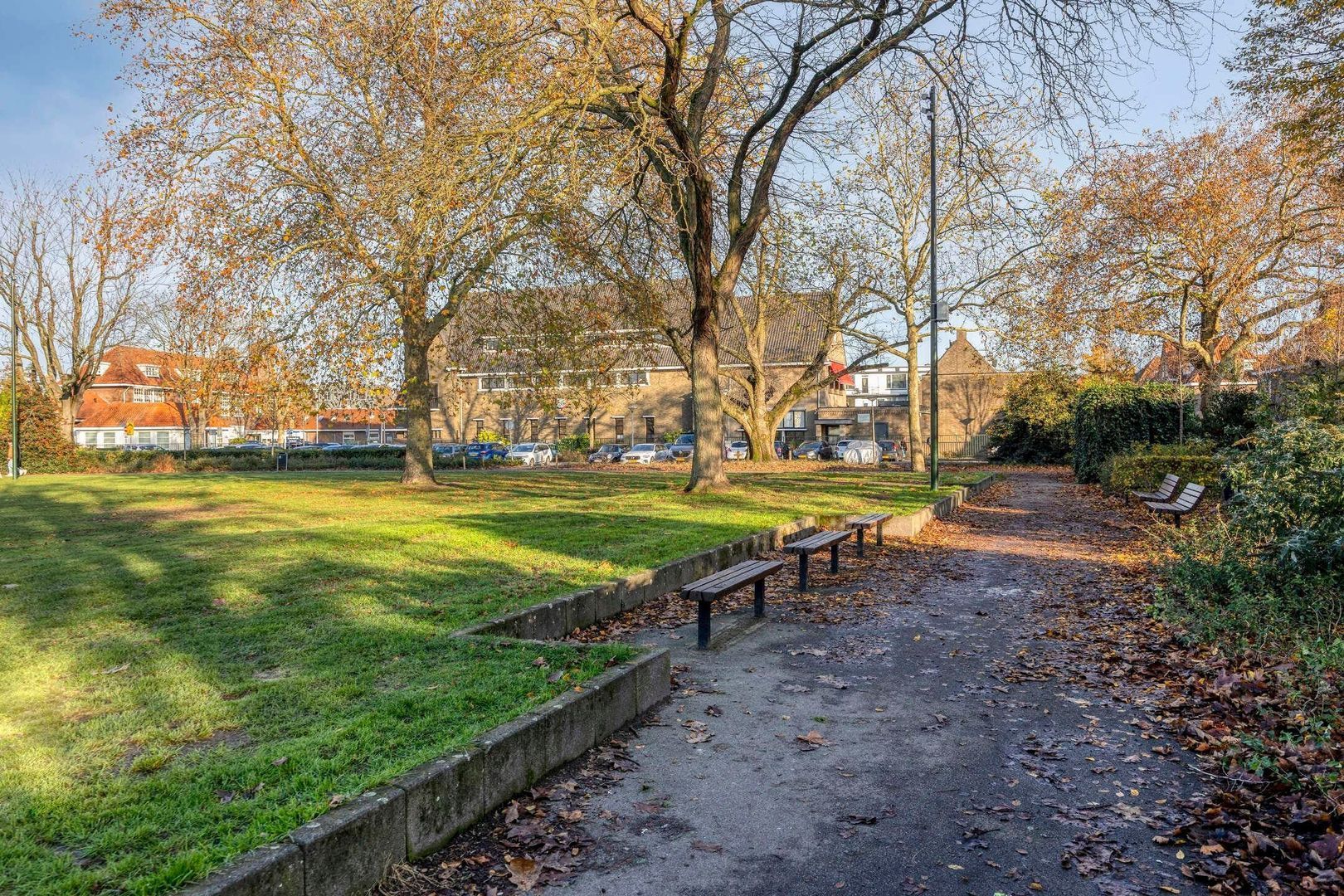 Roostenlaan, Eindhoven foto-32 blur