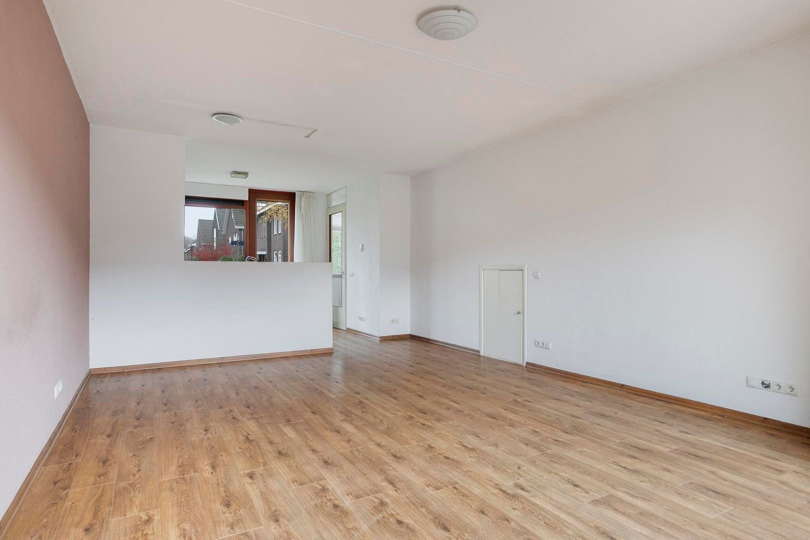 Grasbloem, Eindhoven foto-4 blur