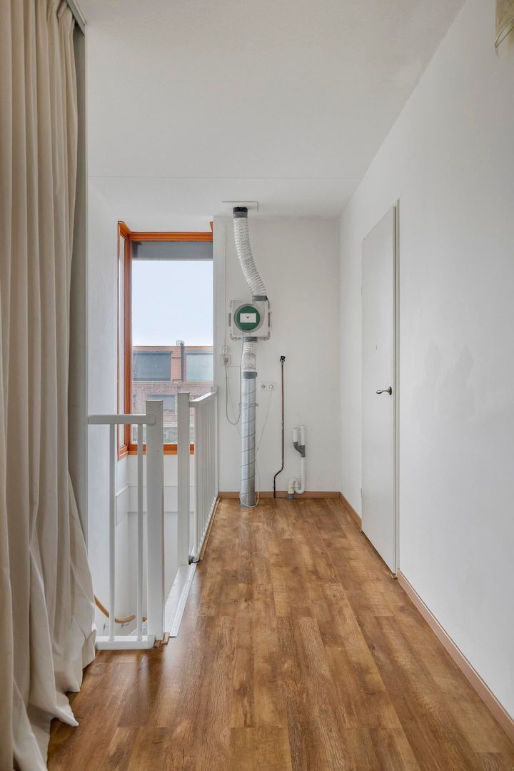 Grasbloem, Eindhoven foto-27 blur