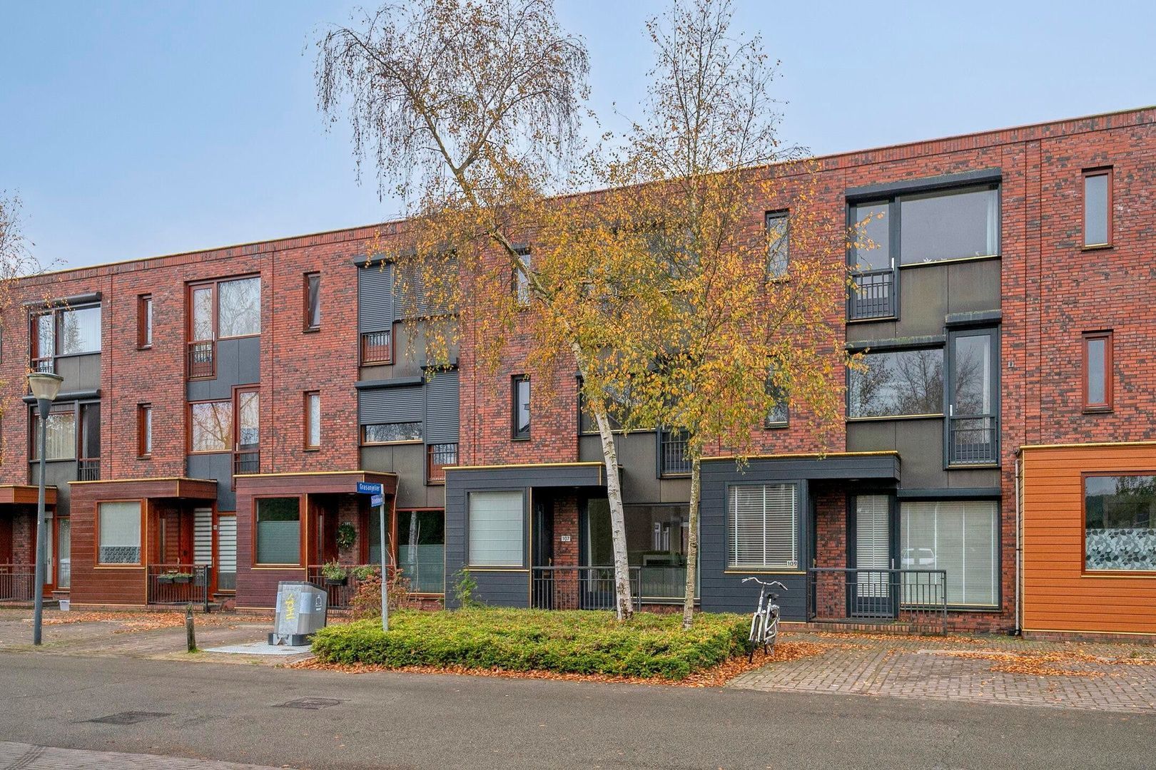 Grasbloem, Eindhoven foto-38 blur