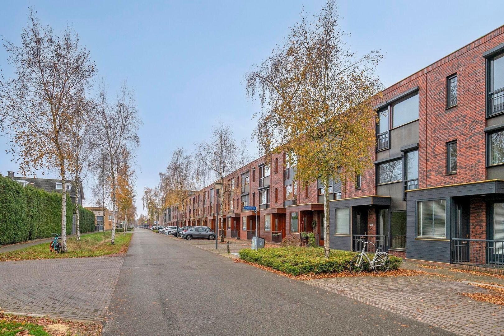 Grasbloem, Eindhoven foto-39 blur