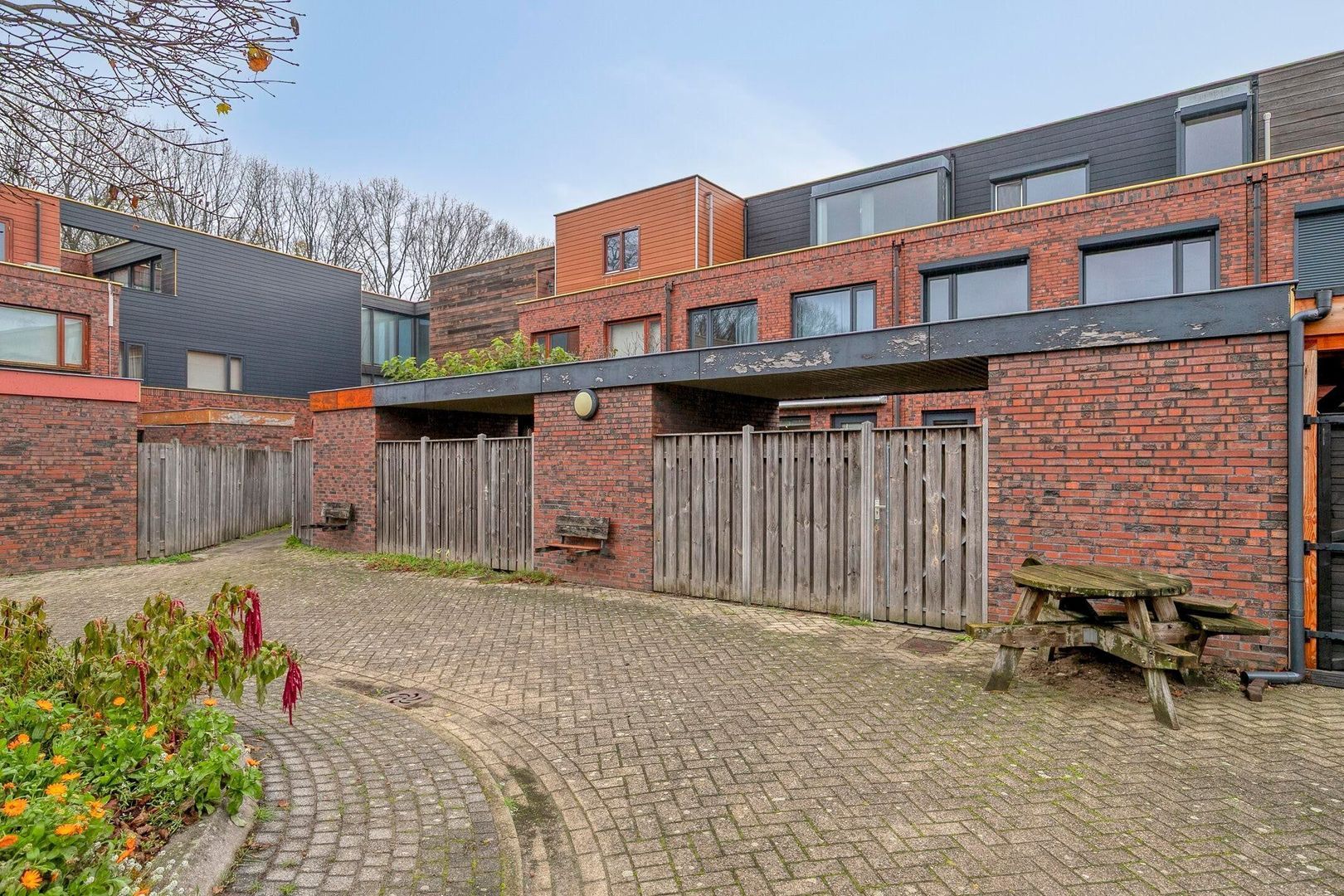 Grasbloem, Eindhoven foto-40 blur