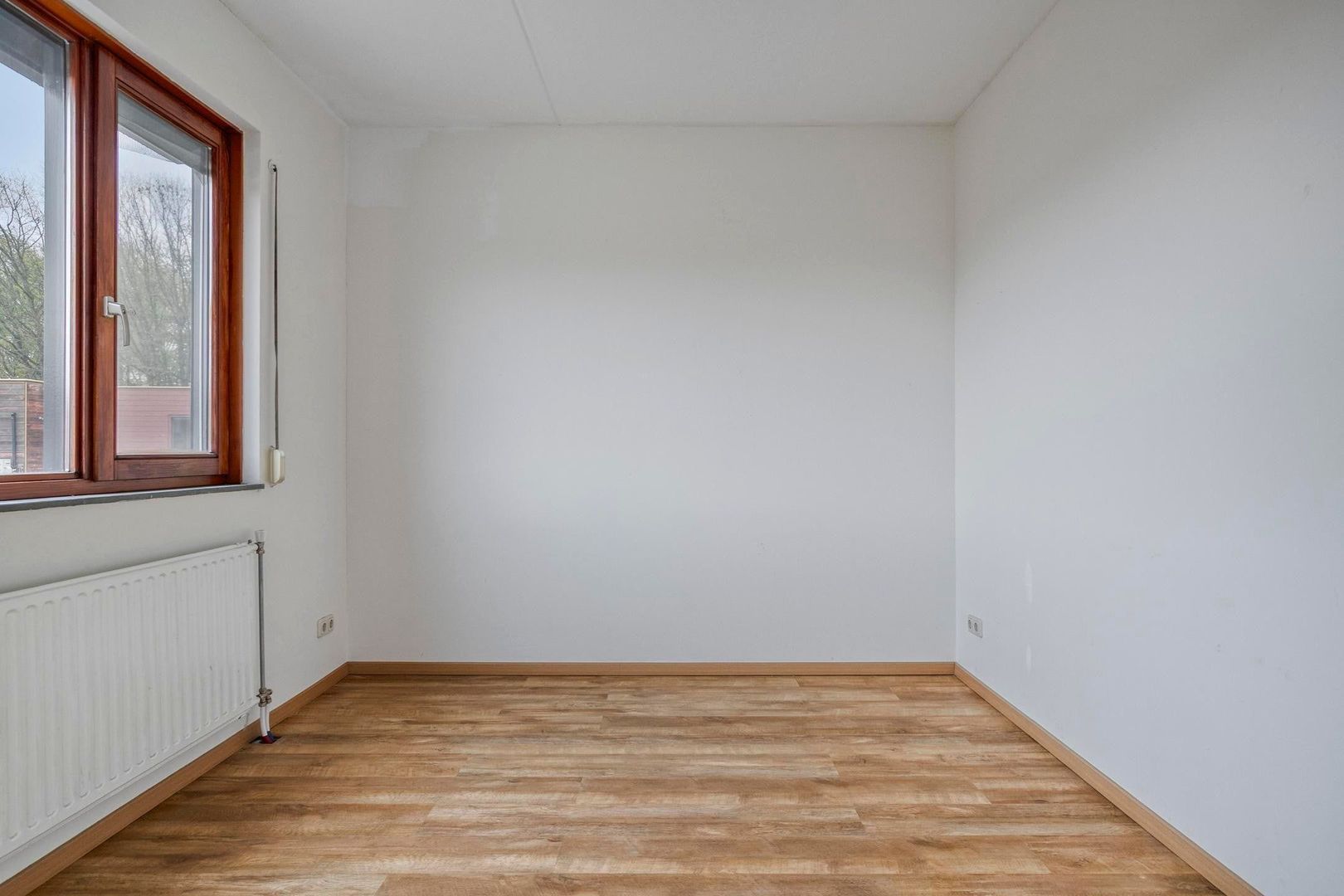 Grasbloem, Eindhoven foto-29 blur