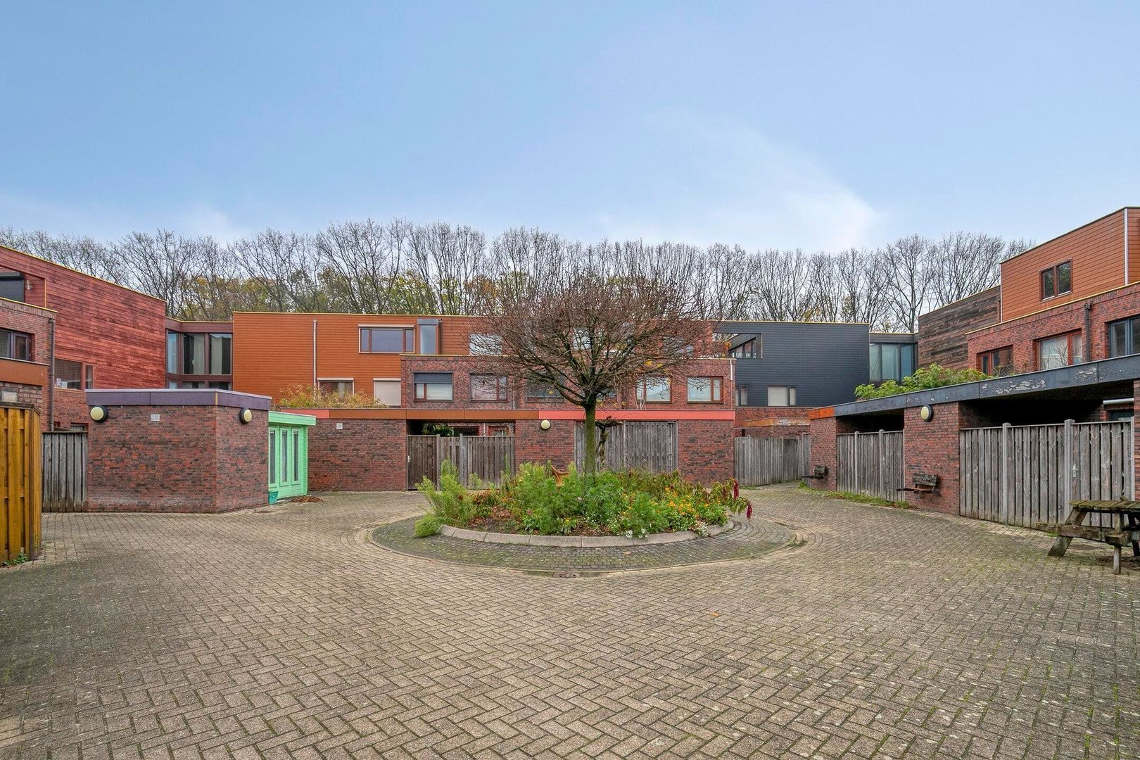 Grasbloem, Eindhoven foto-37 blur