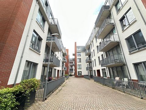 apartments for rent on Stratumsedijk