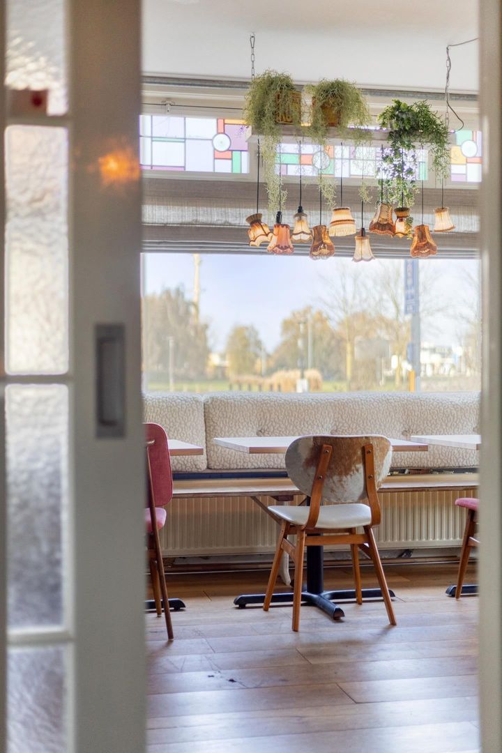 Zeelsterstraat, Eindhoven foto-8 blur