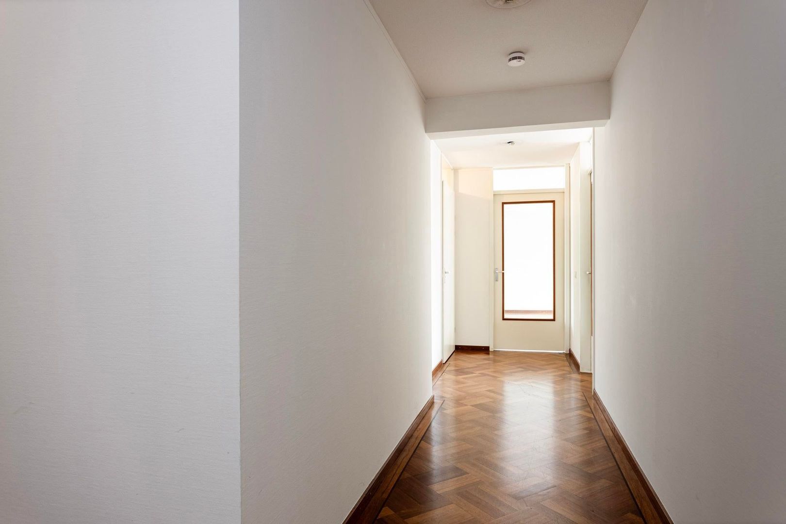 Frans Joseph van Thielpark, Helmond foto-3 blur