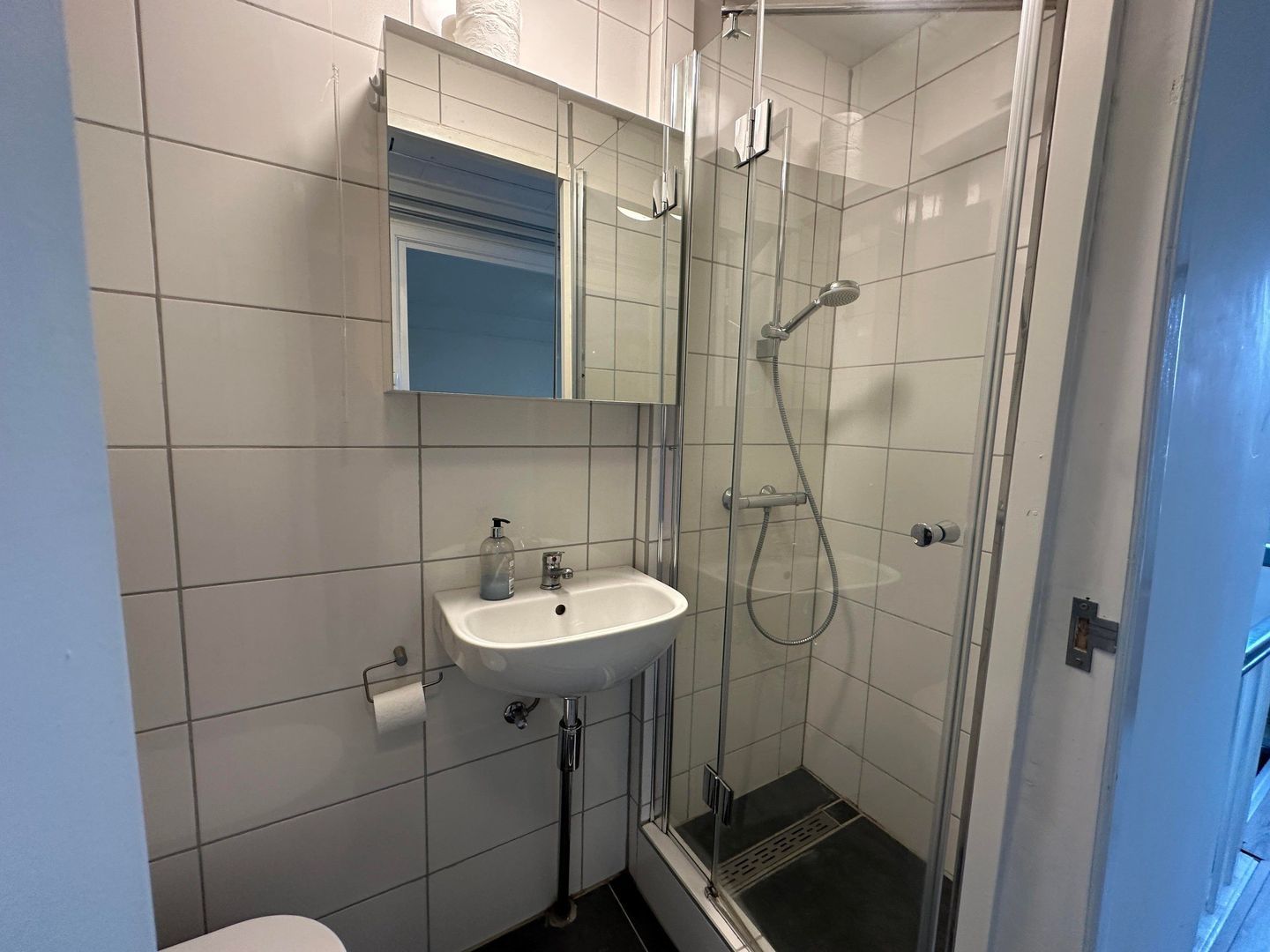 Kreeftstraat, Eindhoven foto-16 blur