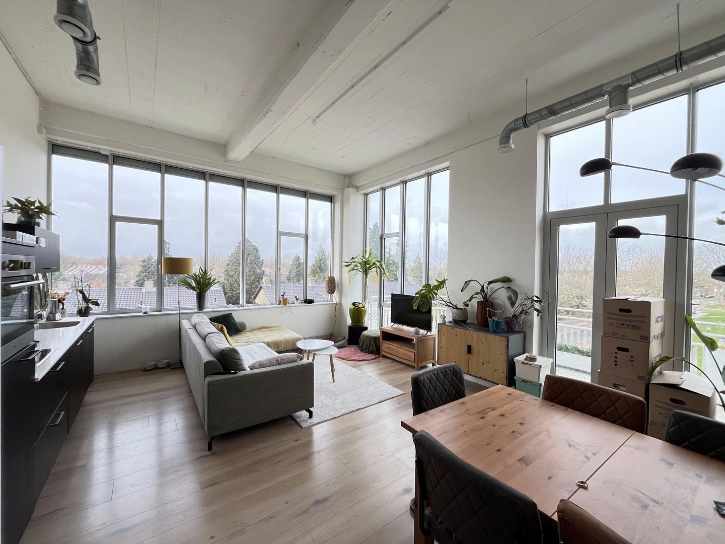 Harrie van Gestelstraat, Geldrop foto-11 blur