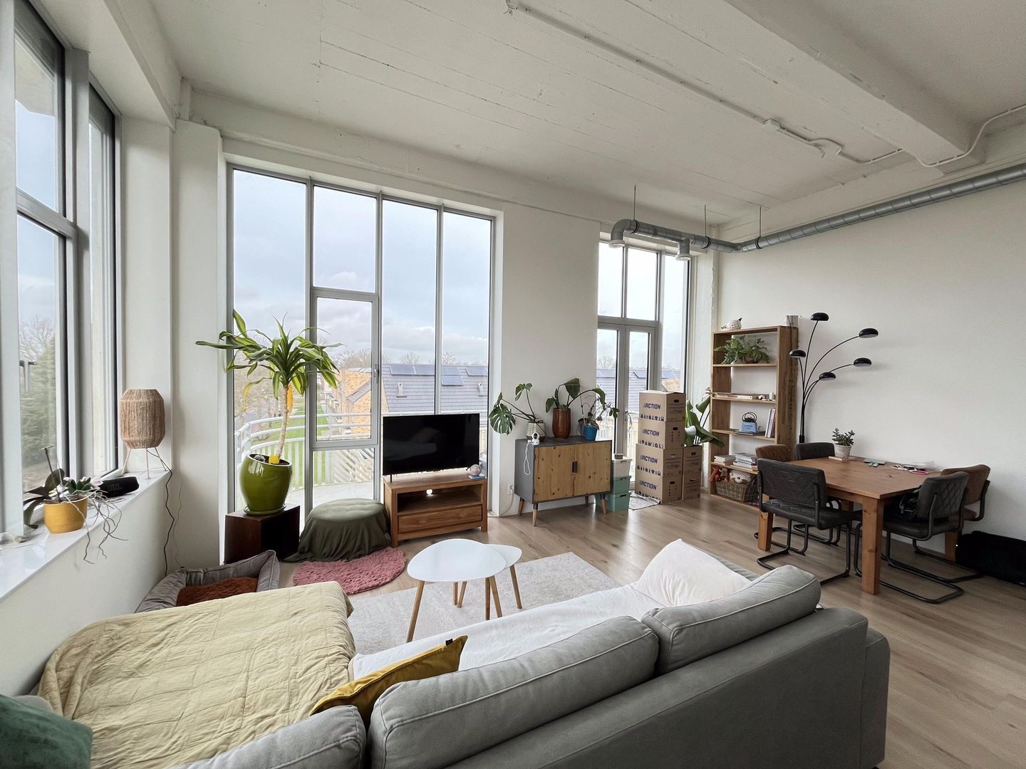 Harrie van Gestelstraat, Geldrop foto-12 blur