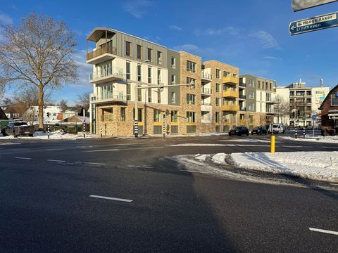 apartments for rent on Bogardeind