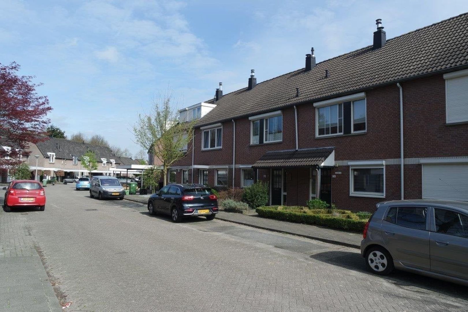 Weegbree, Best foto-1 blur