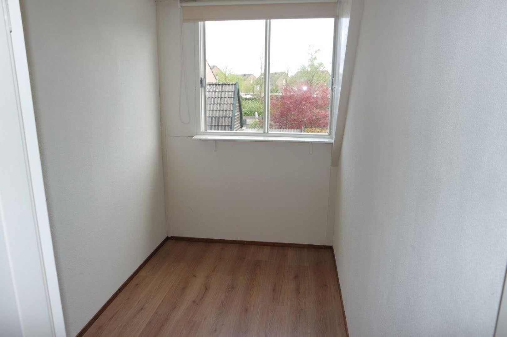 Weegbree, Best foto-10 blur