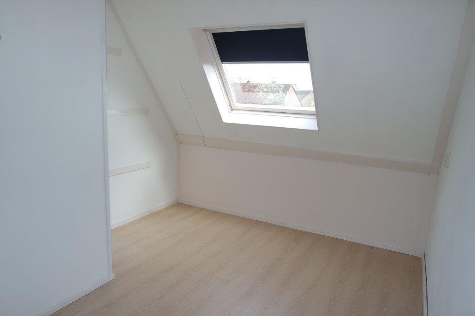 Weegbree, Best foto-11 blur