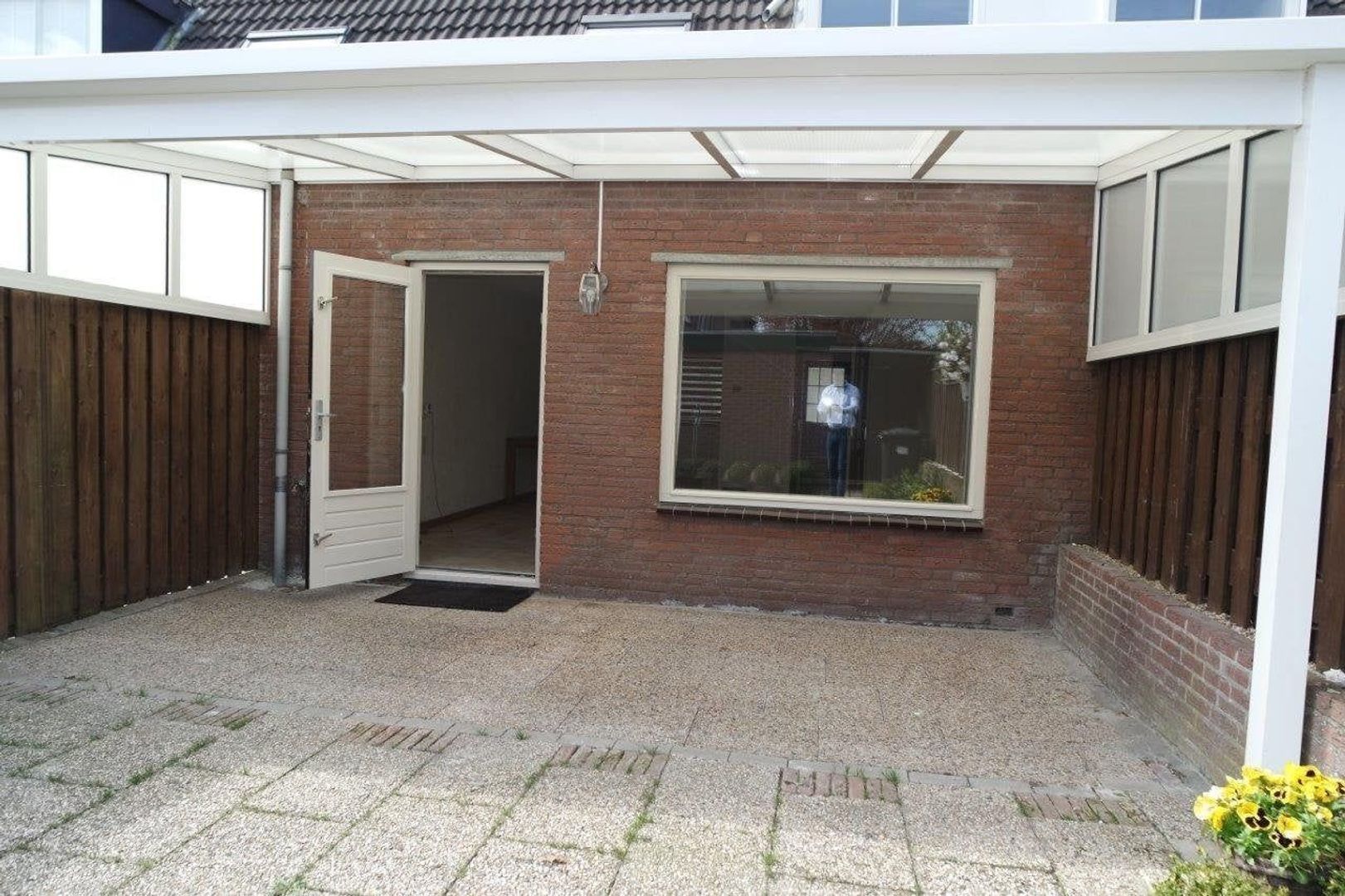 Weegbree, Best foto-15 blur