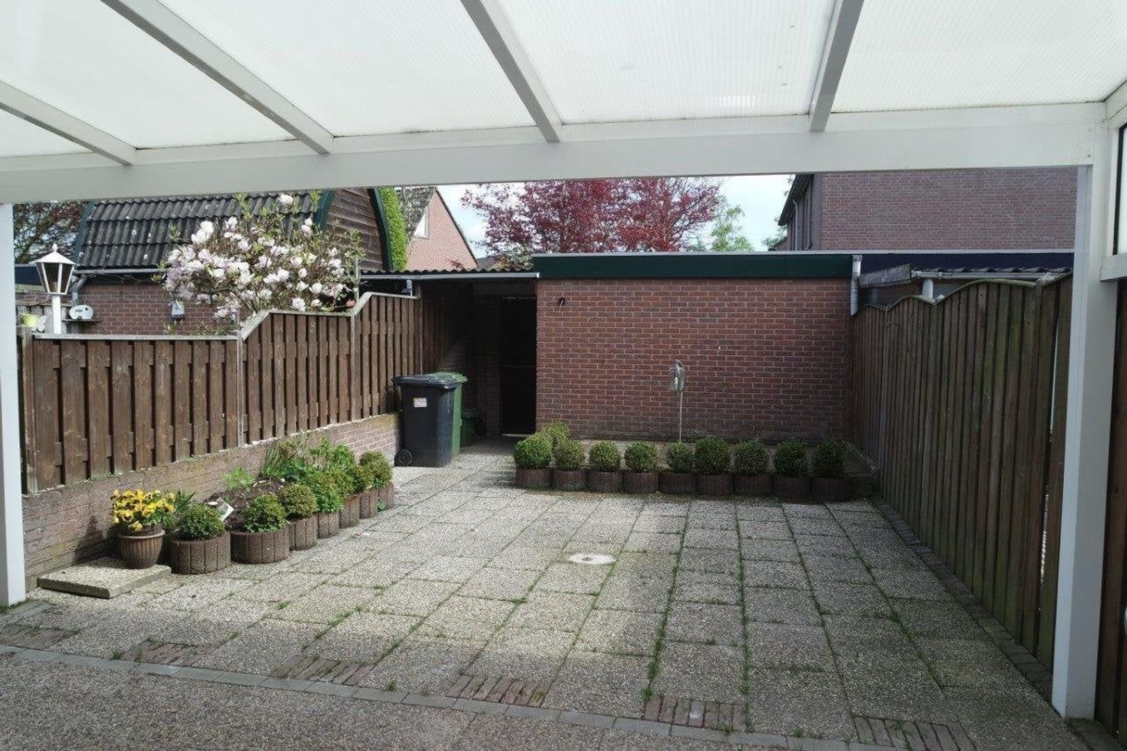 Weegbree, Best foto-16 blur