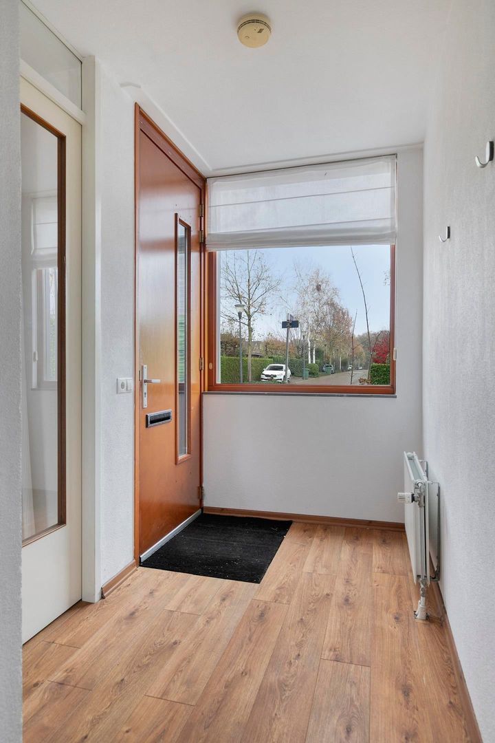 Grasbloem, Eindhoven foto-2 blur