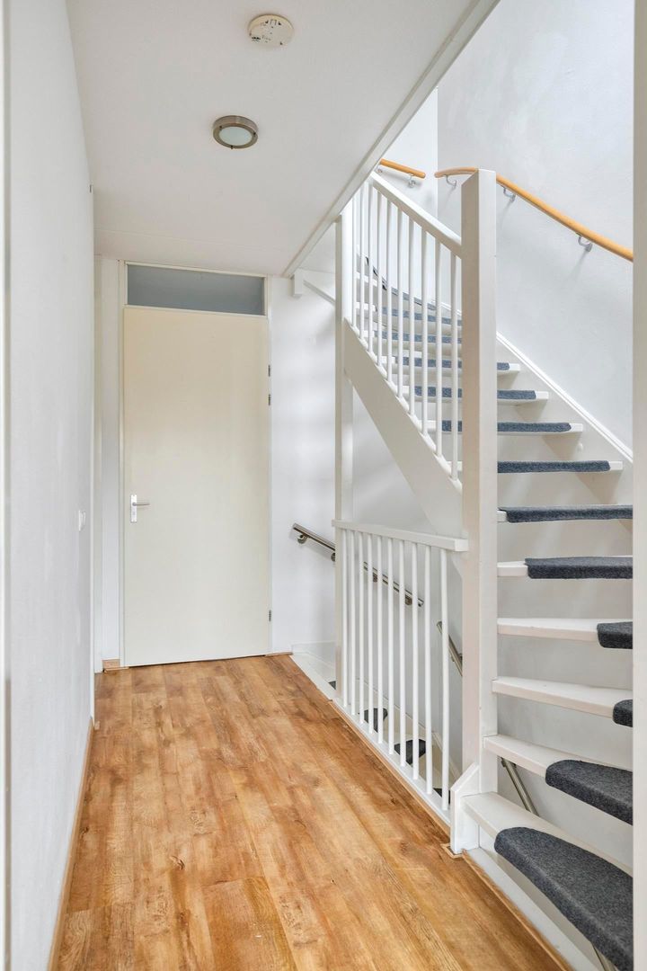 Grasbloem, Eindhoven foto-13 blur