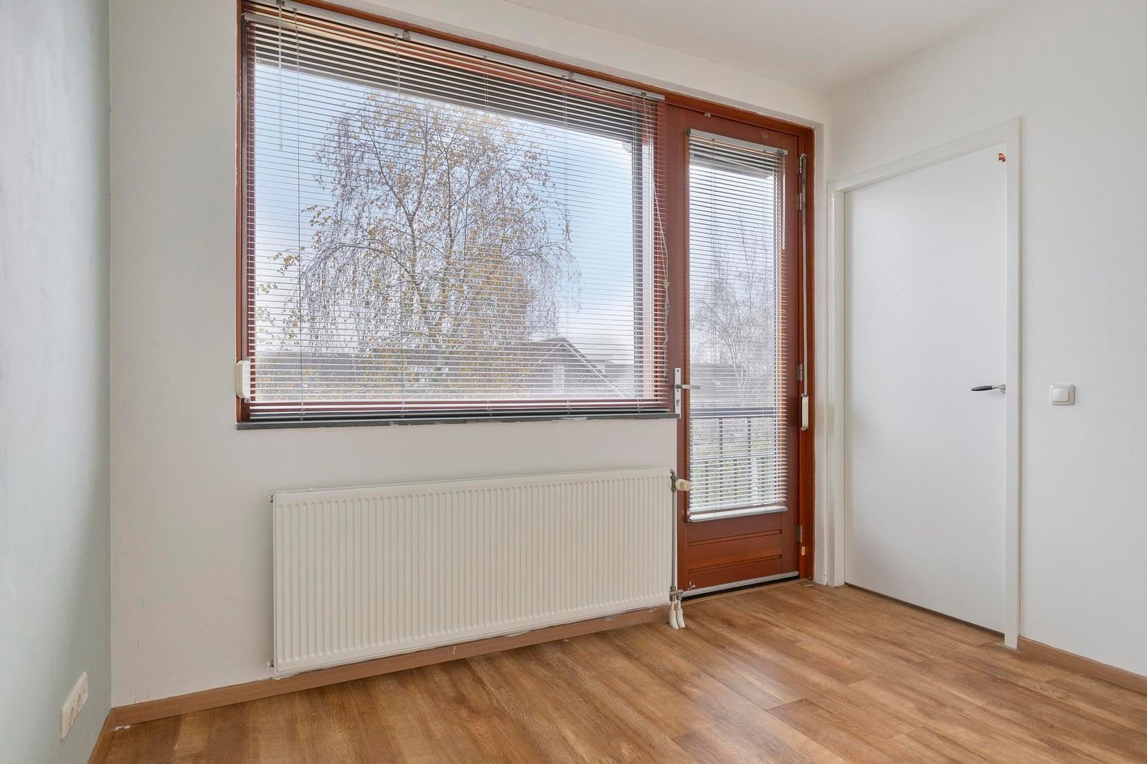 Grasbloem, Eindhoven foto-29 blur