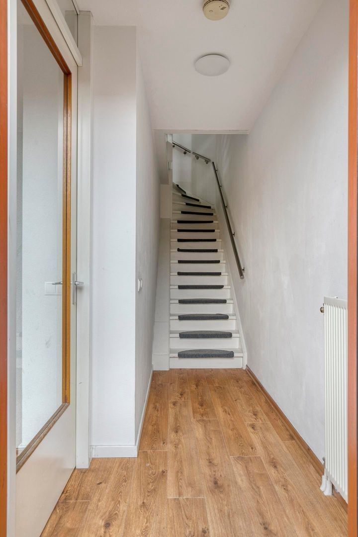 Grasbloem, Eindhoven foto-12 blur