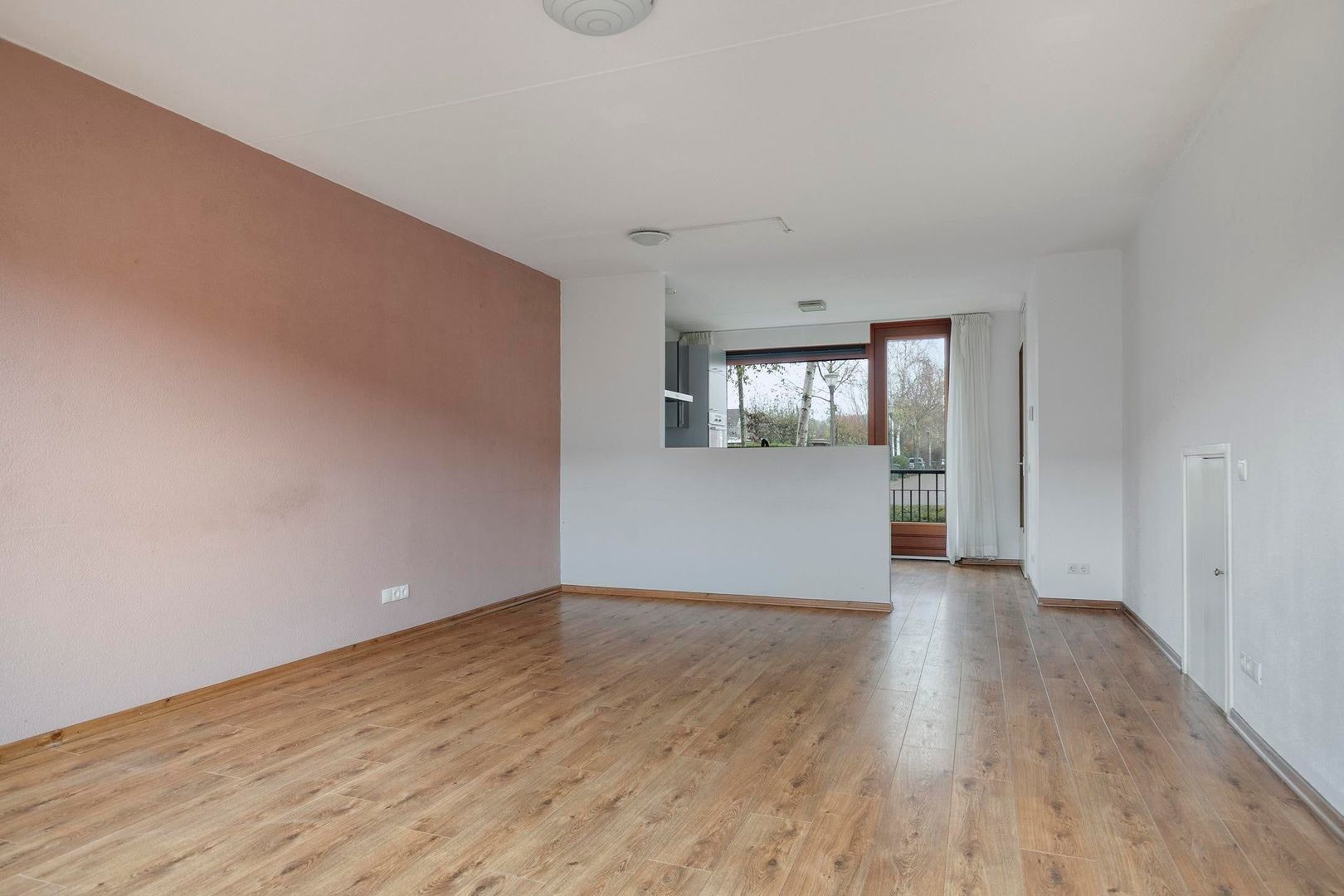 Grasbloem, Eindhoven foto-8 blur