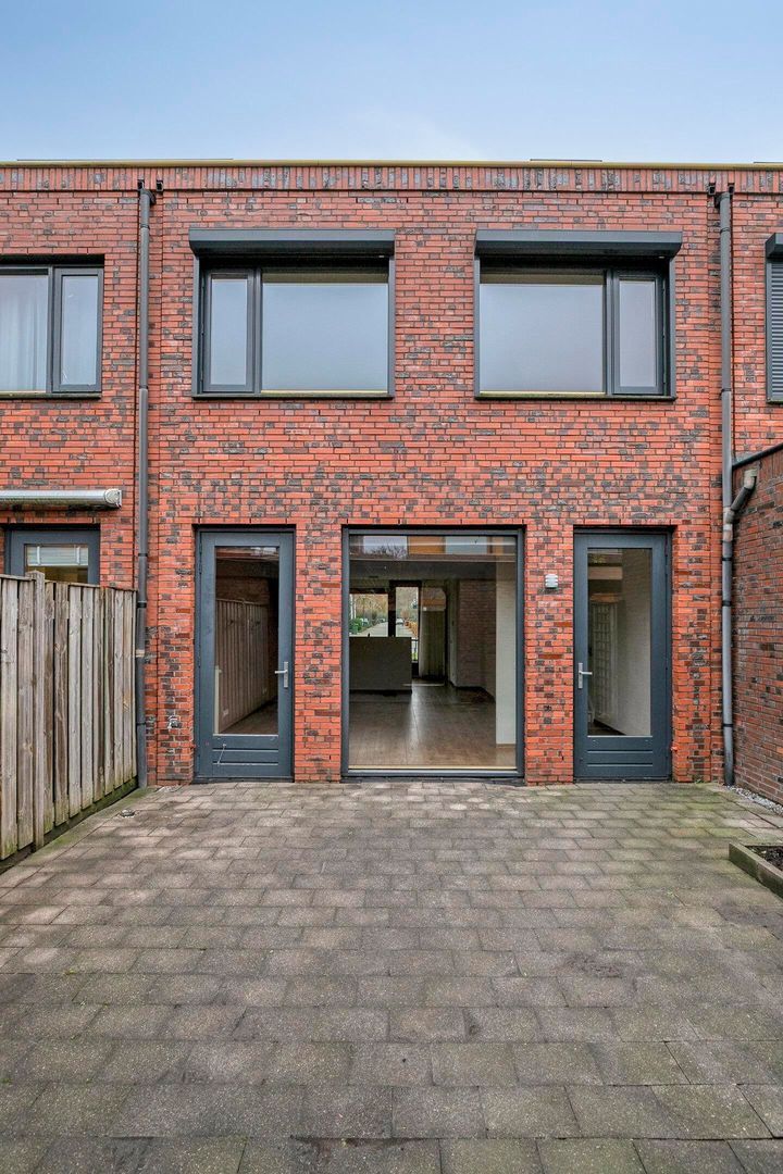 Grasbloem, Eindhoven foto-30 blur