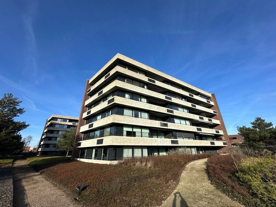 Zandbloem, Eindhoven blur